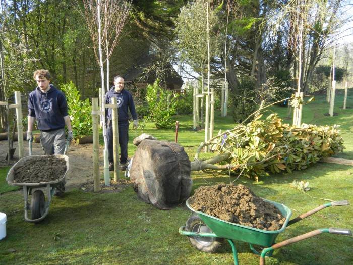 Tree sourcing and planting Profile Photos of C.A.R. Gardens Winton Street - Photo 36 of 41