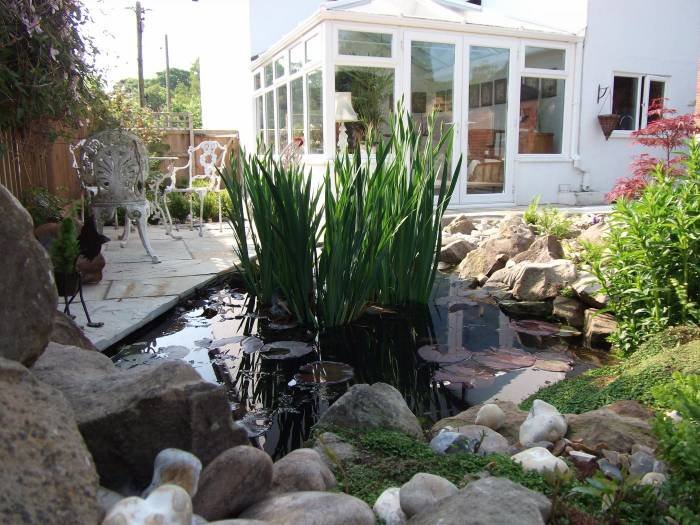 Ponds Profile Photos of C.A.R. Gardens Winton Street - Photo 37 of 41