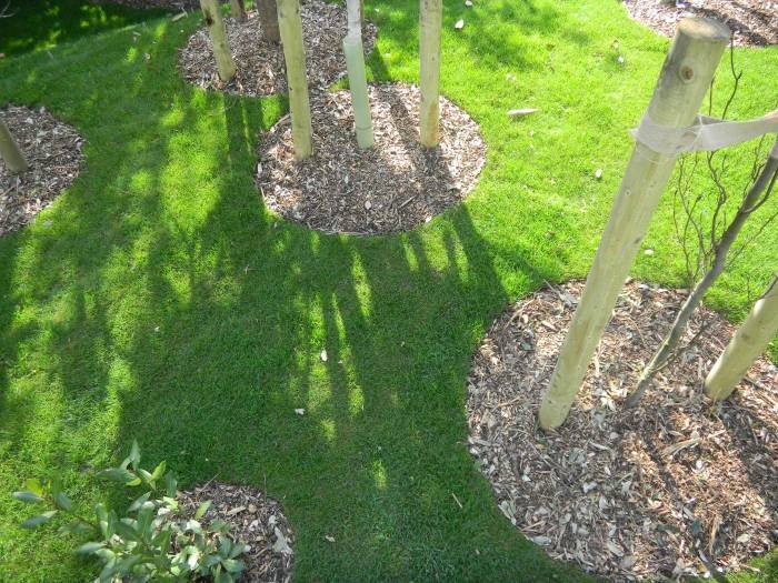 Organic Lawn Care Profile Photos of C.A.R. Gardens Winton Street - Photo 7 of 41