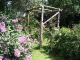 Rustic arches and other structures C.A.R. Gardens Winton Street 