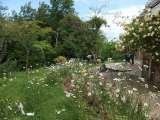Wild flower gardens C.A.R. Gardens Winton Street 