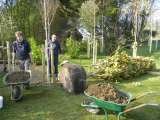 Tree sourcing and planting C.A.R. Gardens Winton Street 