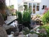 Ponds C.A.R. Gardens Winton Street 