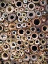 Insect habitats C.A.R. Gardens Winton Street 