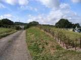 Working with land owners C.A.R. Gardens Winton Street 