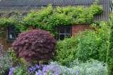Planting Schemes, C.A.R. Gardens, Ryde
