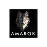 Agencia SEO Amarok, Madrid