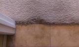 Carpet Repair of Arizona, Tolleson