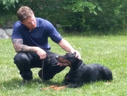  Profile Photos of RCM Dog Training 19 Industrial Avenue - Photo 3 of 10