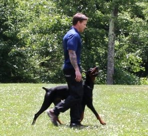  Profile Photos of RCM Dog Training 19 Industrial Avenue - Photo 8 of 10