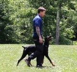 RCM Dog Training, Upper Saddle River