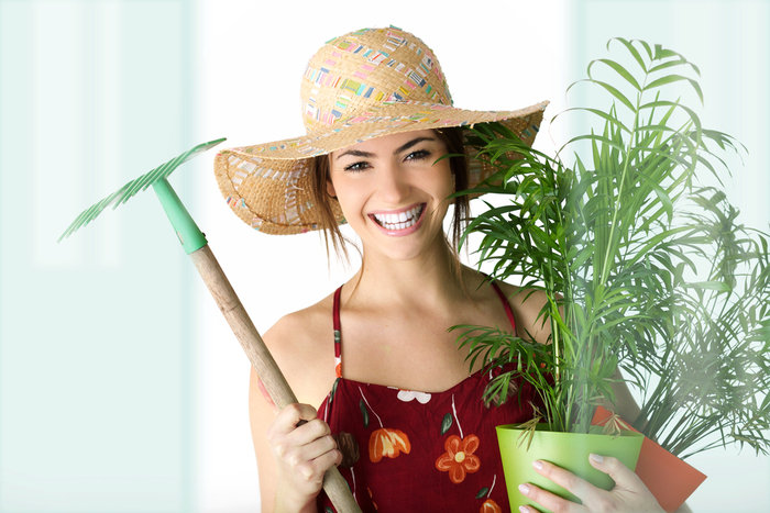  Profile Photos of Gardening Services London Ltd. 148 Leadenhall Street - Photo 3 of 6