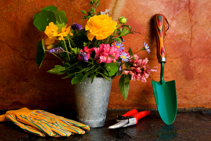  Profile Photos of Gardening Services London Ltd. 148 Leadenhall Street - Photo 4 of 6