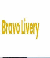 Bravo Livery, Billerica