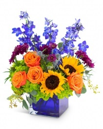  New Album of Creative Occasions Events, Florist & Flower Delivery 111 E Lee Ave - Photo 1 of 3