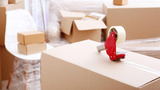  Torex Moving Mississauga 3367 Delfi Rd 