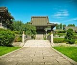 Tree Removal & Maintenance Service in Orland Park, Orland Park