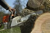  Tree Felling Pros Johannesburg Melville 