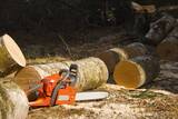  Tree Felling Pros Johannesburg Melville 