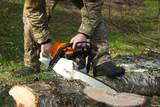 Tree Felling Pros Johannesburg Melville 