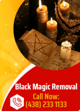 Astrologer Vikram | Best Astrologer in Montreal, Canada, MontrÃ©al, QC