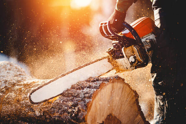  Profile Photos of Tree Service Denver 56 Hazel Ct - Photo 6 of 7