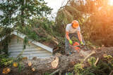 Tree Service Denver, Denver