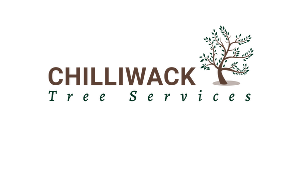 Profile Photos of Chilliwack Tree Services 46050 Avalon Ave - Photo 1 of 1