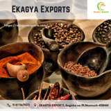 Ekagya Exports, Neemuch