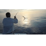 Southpaw Fishing Key West 5950 Peninsular Avenue 