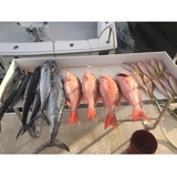  Southpaw Fishing Key West 5950 Peninsular Avenue 