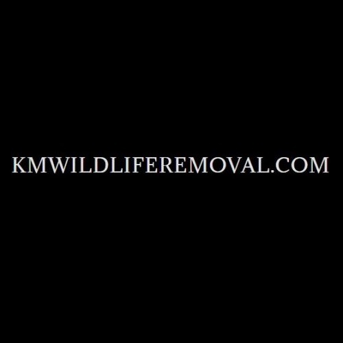  Profile Photos of KM's Wildlife Removal 133 Nectaria Way, #206 - Photo 1 of 1