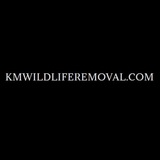 KM's Wildlife Removal, Manchester
