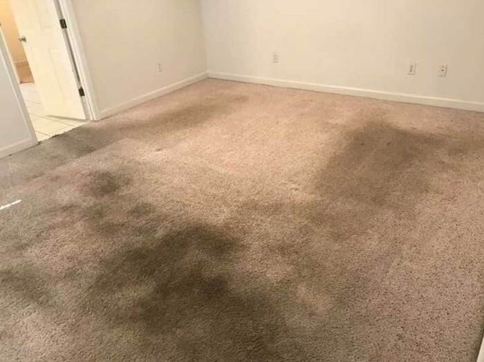  New Album of Carpet Cleaning Maylands 61-39 Phillis St - Photo 2 of 4