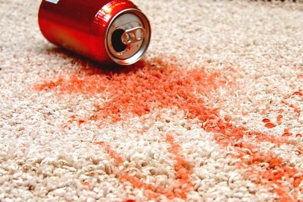  New Album of Carpet Cleaning Maylands 61-39 Phillis St - Photo 3 of 4
