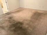 Carpet Cleaning Maylands, Maylands