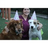  Animal Hospital of Statesville 181 Mocksville Highway 