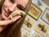 Show Me Reptile and Exotics Show (Greenville), Greenville
