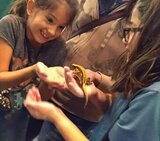 Show Me Reptile and Exotics Show (Greenville), Greenville