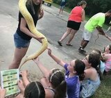 Show Me Reptile and Exotics Show (Greenville), Greenville