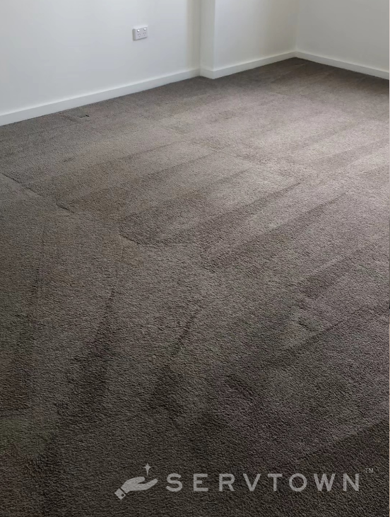  New Album of Servtown Cleaning Management Company Suite 3A, 871-877 Pacific Highway - Photo 5 of 14