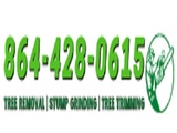 Master Tree Service Greenville, Greenville