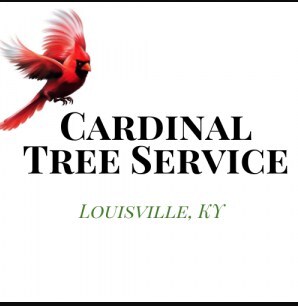  Profile Photos of Cardinal Tree Service Louisville 2858 Frankfort Ave - Photo 1 of 1