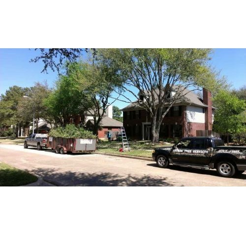  Profile Photos of Astros Tree Service 1130 Trails End Dr - Photo 2 of 4