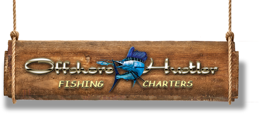  Profile Photos of Offshore Hustler 801 Pass a Grille Way St. Pete Beach, FL USA - Photo 1 of 1