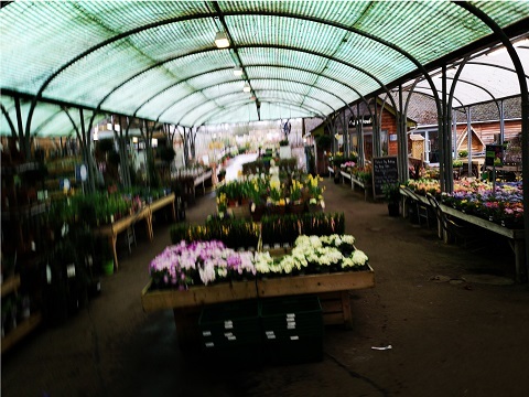  Profile Photos of Hillier Garden Centre Hemel Hempstead Leighton Buzzard Road, Piccotts End - Photo 2 of 2