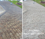 Roof Cleaning
, Lincoln Park Power Washing Pros, Lincoln Park