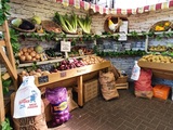  Hillier Garden Centre Botley Woodhouse Lane, Botley 