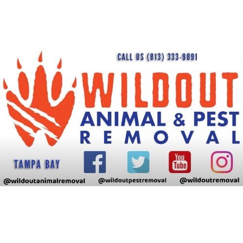  Profile Photos of Wildout Animal & Pest Removal Tampa 13815 Cypress Village Circle - Photo 1 of 4