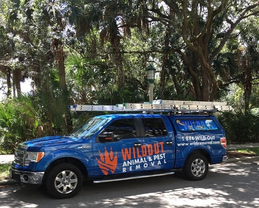  Profile Photos of Wildout Animal & Pest Removal Tampa 13815 Cypress Village Circle - Photo 3 of 4